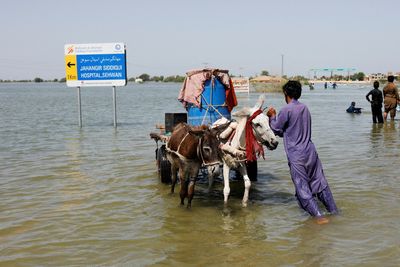 Explainer-COP27: What is 'Loss and Damage' compensation, and who should pay?