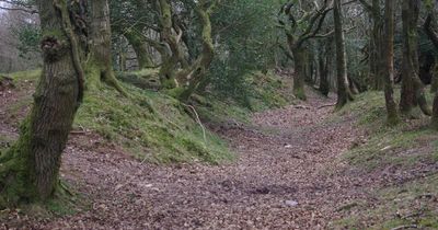 Beauty spot an hour and a half from Bristol plagued by ghost which tells visitors to 'f*** off'