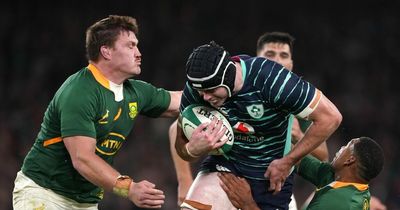 Rugby fans left frustrated watching Ireland v South Africa despite win