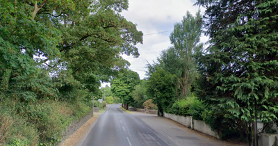 Elderly pedestrian dies after being hit by car in Co Clare as Gardaí appeal for witnesses