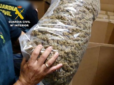 Spain’s largest ever cannabis seizure as 32 tonnes of drug worth £57m found in raid OLD