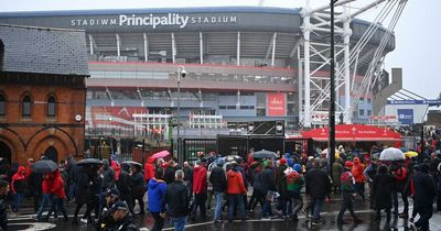 Eighty-year-old bystander taken to hospital after fight between two other men during Wales v New Zealand