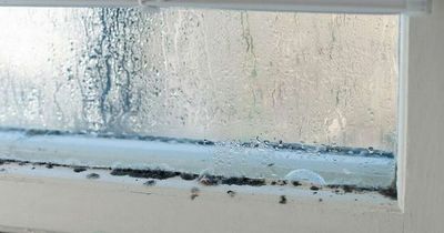 Mrs Hinch fans praise common household item that prevents condensation over winter
