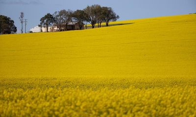 Australian farmers are being treated like mushrooms when it comes to fertiliser pricing