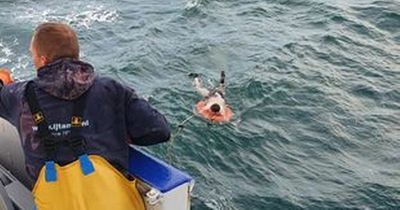 Brit clung to buoy in his trunks for 'four days' after 'trying to kayak to Spain'