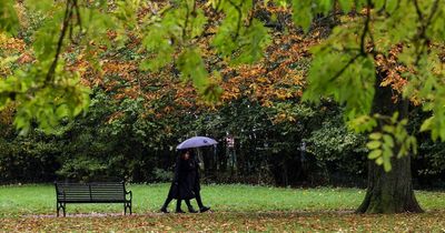 Northern Ireland weather: Forecast for week ahead as mild temperatures and strengthening winds expected