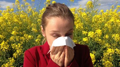 Hay fever alert for Melbourne as Victoria's pollen count rises amid warmer weather