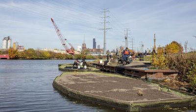 Floating wetlands installed on South Branch of Chicago River for native wildlife