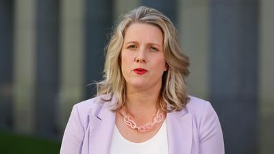 Home Affairs Minister Clare O'Neil calls an inquiry into 'broken' immigration system