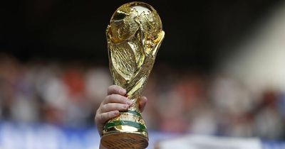 Qatar World Cup: what fans can expect