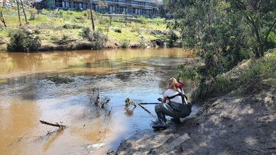 Early water quality testing results show high traces of E.coli in Victorian floodwaters