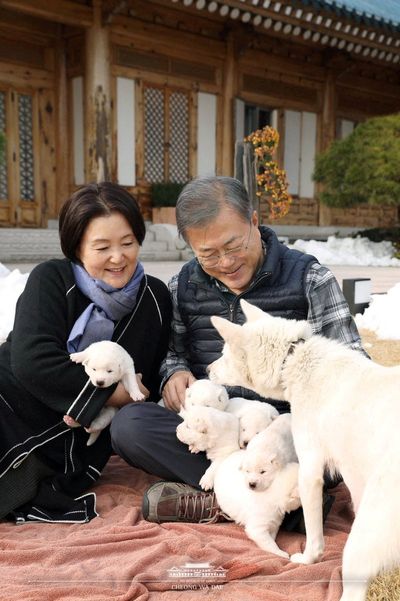 Ex-South Korean leader plans to give up dogs from North Korea's Kim