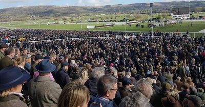 More than €42m paid as horse racing prizes by taxpayer last year as TD hits out at costs