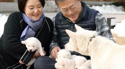 Ex-South Korean Leader Plans to Give up Dogs from North Korea’s Kim