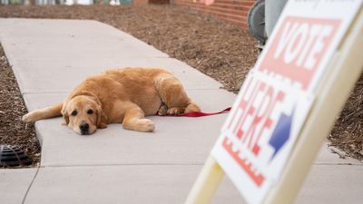 Be patient: This election is probably going to go on a while