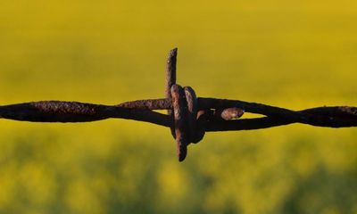 Poem of the week: No Remedy by Drummond Allison