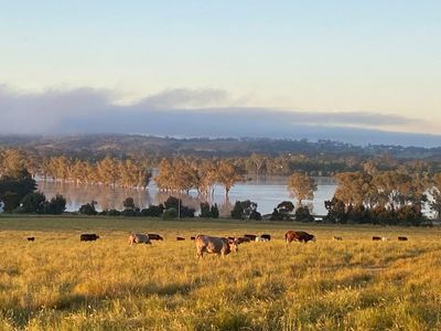 The river will have its way: we await our fate on Wagga’s flood plain