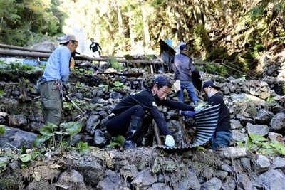 Wasabi farmers in Shizuoka Prefecture still reeling from September typhoon
