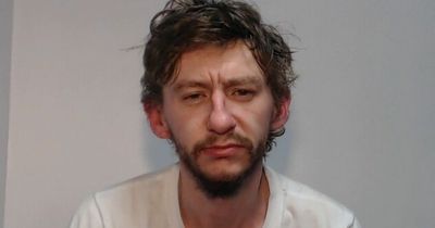 Police hunting for convicted thief wanted on recall to prison