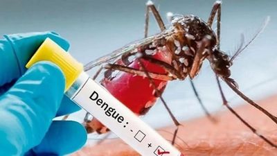 Dengue infection tally rises to over 2,400 in Delhi