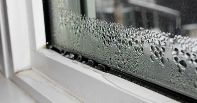 Stop condensation 'dripping' on windows with three cheap solutions