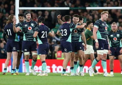 Three Rugby World Cup pointers from Ireland v South Africa