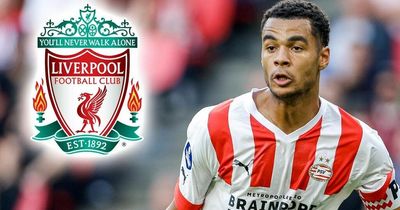 Liverpool tipped for Cody Gakpo transfer as Reds identify PSV star as 'missing link'