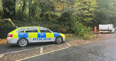 Belfast Zoo: PSNI warn traffic moving 'very slowly' in North Belfast due to fallen tree