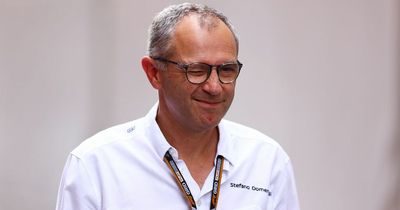 Stefano Domenicali gives green light to new team entering F1 to have "better racing"