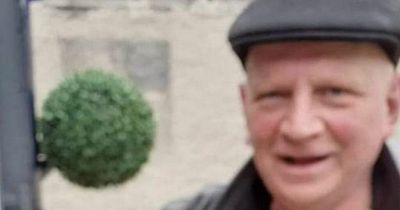 Gardai arrest man over murder of fortune teller Stefan Nivelles Posschier in Westmeath