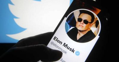 New Twitter owner Elon Musk clamps down on verified accounts that impersonate others