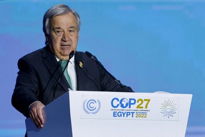 COP27: What are they saying at the climate summit?