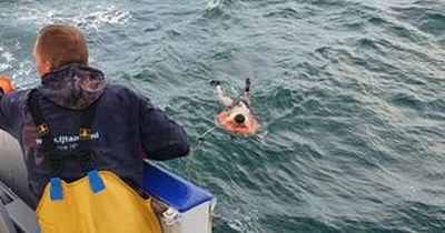 Brit spent four days clinging to buoy in English Channel after kayak capsized