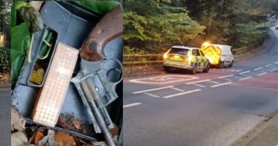 Police seize gun and ammunition after metal detectorist finds them in Newcastle nature reserve