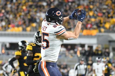 Fantasy football waiver wire Week 10: Cole Kmet and Greg Dulcich are good TE adds