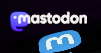 What is Mastodon as Twitter takeover sees thousands opt for alternative social media site