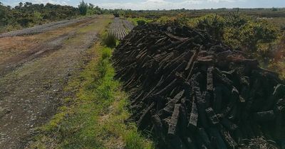 Who can still buy, sell and burn turf in Ireland? Unusual loophole in new rules is good news for thousands