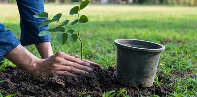 Climate change: carbon offsetting isn't working – here's how to fix it