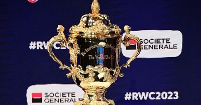 Ireland confirmed for Tours base for Rugby World Cup in France