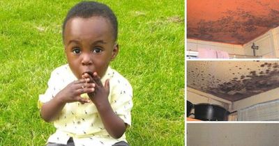 Mum of tragic toddler, 2, pleaded for help with mould-hit home the day before he died, inquest hears