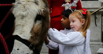 Farm animals will not be part of Nativity crib as Lord Mayor issues fiery defence