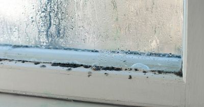 Three cheap home hacks to stop condensation from dripping down your window