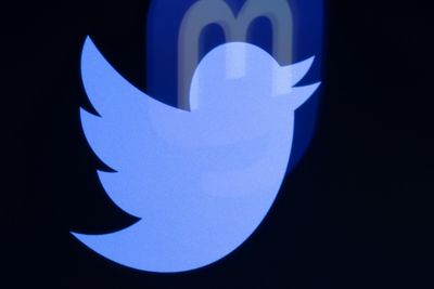 Defectors seek alternatives to Musk-owned Twitter