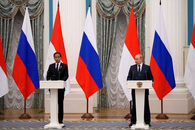 G20 host Indonesia says Putin may seek to join summit virtually