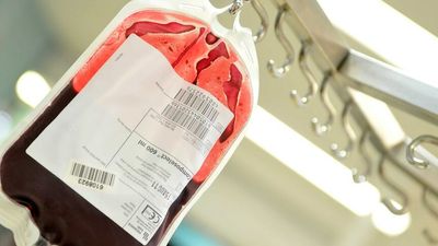 Patients receive transfusion of laboratory-grown blood in world-first clinical trial