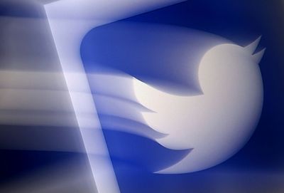 Twitter takeover raises fears of climate misinfo surge