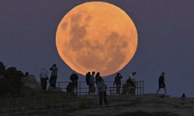 Blue moon August 2023: how to take a good photograph of the supermoon tonight on your phone or camera