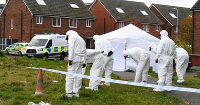 Gunman 'emerged from bushes' and shot two men at bonfire event