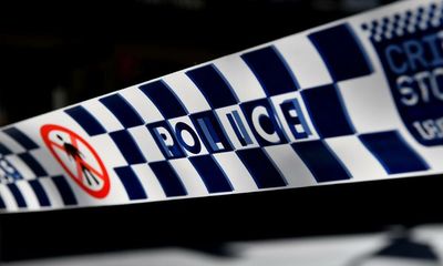 Toddler dies after being attacked by two dogs at NSW motel