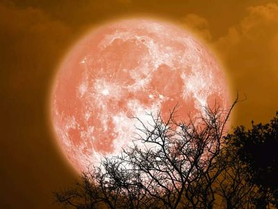 Beaver Blood Moon lunar eclipse 2022: Everything you need to know